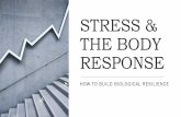 STRESS & THE BODY RESPONSE