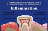 Inflammation - USMF