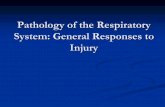 Pathology of the Respiratory NOT TO BE