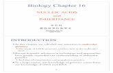 Biology Chapter 16 - cool.ntu.edu.tw