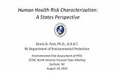 Human Health Risk Characterization: A State's Perspective