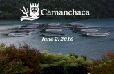 CamanChaca 2016 Q1 Results Presentation