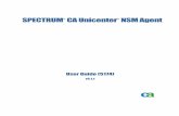 SPECTRUM CA Unicenter NSM Agent User Guide (5174)