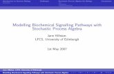 Modelling Biochemical Signalling Pathways with Stochastic Process