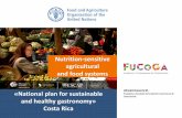 Nutrition-sensitive agricultural and food systems ...