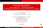 Numerical Optimization - Lecture Notes #8 — Trust-Region ...