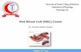 Red Blood Cell (RBC) Count