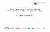 The Egyptian Process Safety Management Steering Committee ...