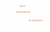 Lect 8 Smart antennas Dr. Gehan Sami