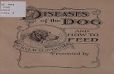 Diseases of the dog and how to feed, - Archive