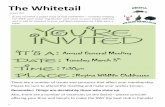 The Whitetail - 404