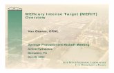 MERcury Intense Target (MERIT) Overview