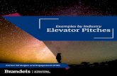 Examples by Industry Elevator Pitches