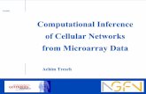 Computational Inference of Cellular Networks from ...