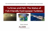 Turbines and Fish: The Status of Fish Friendly Hydropower ...