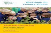 Workshops for Primary Schools - RHS