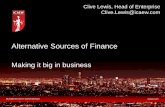Alternative Sources of Finance - ICAEW.com