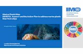 Marine Plastic litter MARPOL Annex V and the Action Plan ...