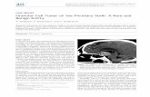 Granular Cell Tumor of the Pituitary Stalk: A Rare and ...