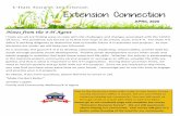K-State Research and Extension Extension Connection