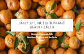 Introduction to Nutrition and Brain Health