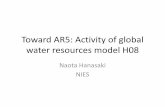 Toward AR5: Activity of global water resources model H08