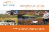 Organising surveys to determine site quality for invertebrates