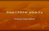 Essay CEDAW article 5 a