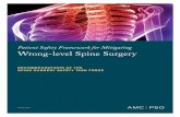 Patient Safety Framework for Mitigating Wrong-level Spine ...