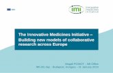 The Innovative Medicines Initiative Building new models of ...