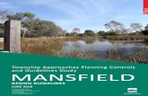 Township Approaches Planning Controls and Guidelines Study ...
