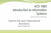 Systems that span Organizational Boundaries
