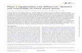 RESEARCH ARTICLE Phase 1 repolarization rate defines Ca2 ...