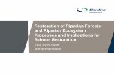 Restoration of Riparian Forests and Riparian Ecosystem ...