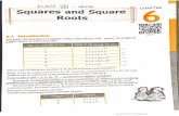Class VIII - Maths - Squares and Square Roots Ex. 6