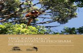 Tree kangaroo conservaTion program