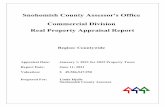 2021 Commercial Division Real Property Appraisal Report
