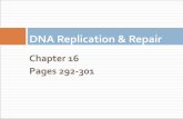 DNA Replication Repair - shcollege.ac.in