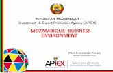 REPUBLIC OF MOZAMBIQUE - invest.apiex.gov.mz