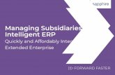 Managing Subsidiaries with Intelligent ERP