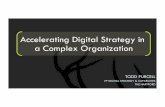 HT Accelerating Digital Strategy in a Complex Organization ...
