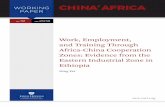 Work, Employment, and Training Through Africa-China ...
