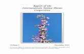 Report of the Intermountain Native Plants Cooperative