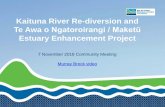 Estuary Enhancement Project