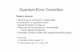 Quantum Error Correction - Lu