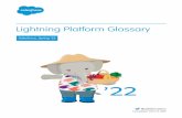 Lightning Platform Glossary - Salesforce