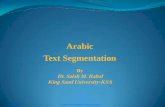 Arabic Text Segmentation