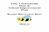 2020-21 School SIP Plan