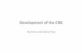 11-12-Development of the CNS
