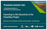 Improving Cu-Mo Recoveries in the Vizcachitas Project